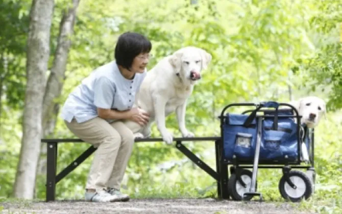 NPO法人日本サービスドッグ協会（引退補助犬の支援）